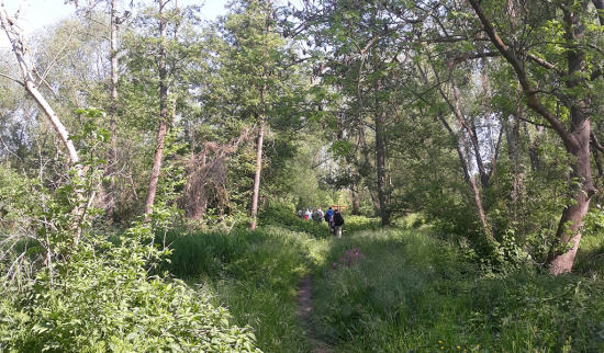 Foto: Veronika Leißner